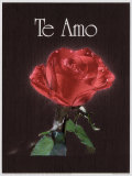 Buy Te Amo at AllPosters.com