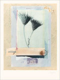 Buy Botanical II at AllPosters.com