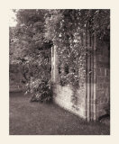 Paul's Backyard II