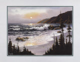 Beach with Pine Trees