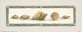 Five Shells