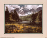 Buy Rocky Mountain Spring at AllPosters.com
