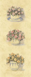 Buy Floral Teacups at AllPosters.com