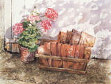 Terracotta Pots