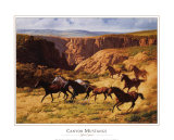 Buy Canyon Mustangs at AllPosters.com