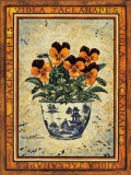 Viola Jackanapes