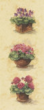 Buy Floral Blooms at AllPosters.com