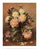 Buy Pink and White Peonies at AllPosters.com