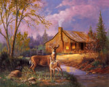 Deer Near Cabin