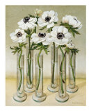 Buy White Anemones at AllPosters.com