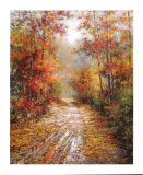 Autumn Trail