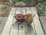 Picnic Bench