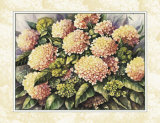 Buy Pink Hydrangea at AllPosters.com
