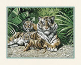 Yellow Tigers with Cubs