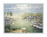 Safe Harbor with Pelicans