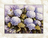 Buy Blue Hydrangea at AllPosters.com