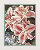 Buy Lilacs and Lilies at AllPosters.com