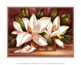 Blossoming Magnolias