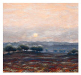Buy Poppy Fields at AllPosters.com
