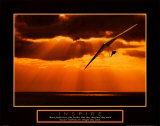 Buy Inspire at AllPosters.com