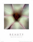 Beauty