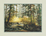 Serene Woods