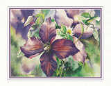 Buy Purple Clematis at AllPosters.com