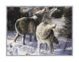 Buy Winter Wolves at AllPosters.com