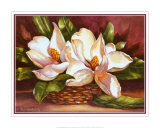 Buy Magnolias in Basket at AllPosters.com