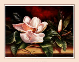 Buy Magnolias on Red II at AllPosters.com