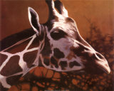 Giraffe Grande