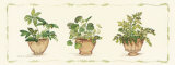 Buy Ferns in Fancy Pots at AllPosters.com