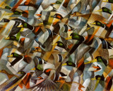 Mostly Mallards