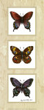 Buy Bright Butterflies at AllPosters.com