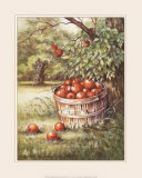 Buy Apple Orchard at AllPosters.com