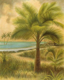 Island Palm II