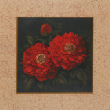 Buy Red Carnation with Border II at AllPosters.com