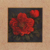 Buy Red Carnation with Border I at AllPosters.com