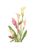 Buy Tropical Bouquet II at AllPosters.com