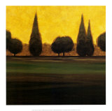 Buy Autumn Sky I at AllPosters.com
