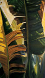 Buy Light through the Banana Leaves at AllPosters.com