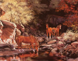 Autumn Blaze