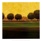 Buy Autumn Sky II at AllPosters.com