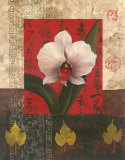 Buy White Chinese Orchid at AllPosters.com