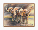 Buy Family of Elephants at AllPosters.com