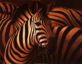 Zebra Grande