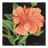 Orange Flower