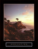 Dedication: Lone Cypress