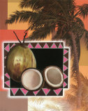 Coconut Palm