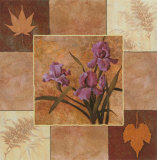 Buy Lavender Iris at AllPosters.com